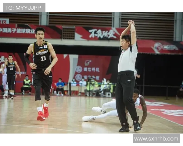 辽宁对阵青岛精彩赛事在线直播全程回顾与分析