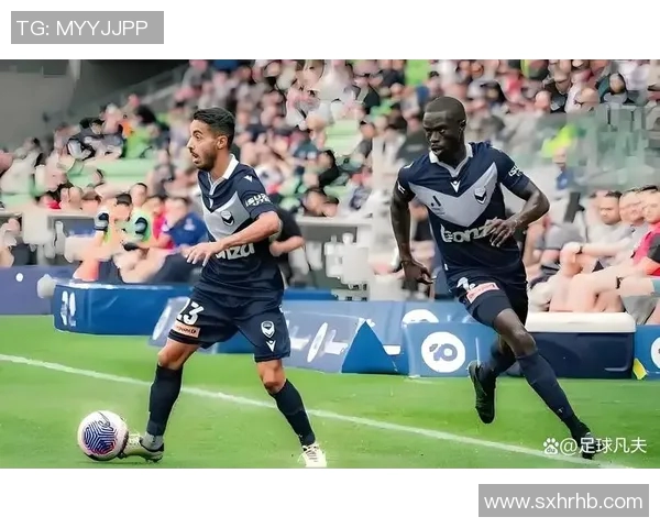 墨尔本胜利对阵大邱FC精彩比赛视频回顾与分析